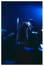 image12.jpg